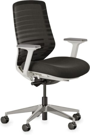 71yBRC9C-RL._AC_SL1500_.jpg Branch Ergonomic Chair - A Versatile Desk Chair with Adjustable Lumbar Support, Breathable Mesh Backrest, and Smooth Wheels - Experience Optimal Comfort and Support - Black
